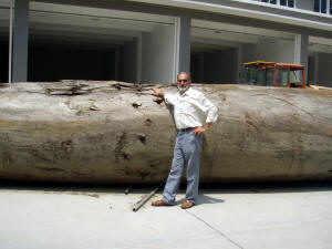 BIG Log 