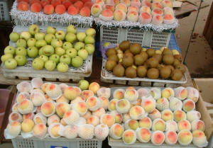 Fresh Produce Market